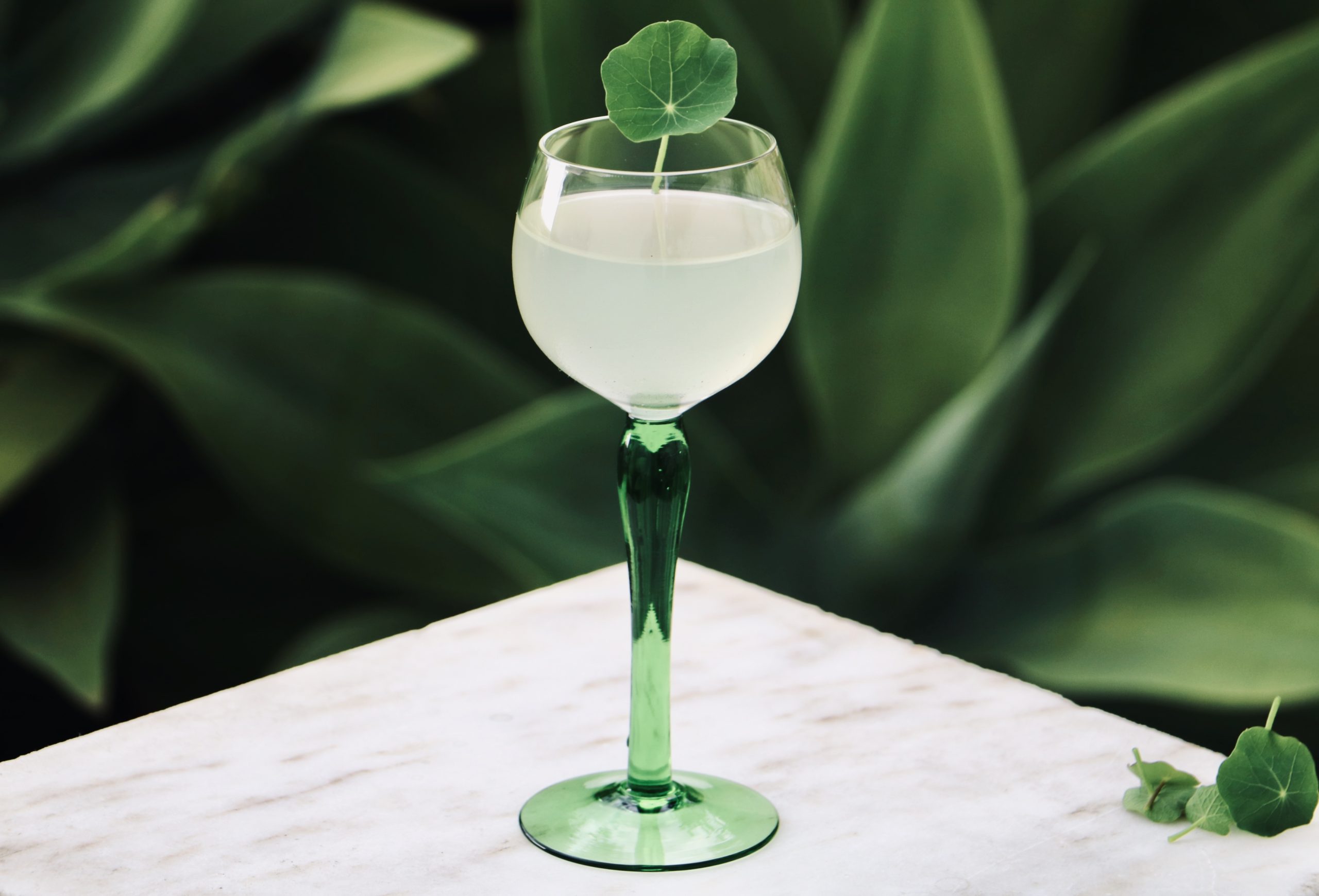 Cocktail in a tall glass with green background